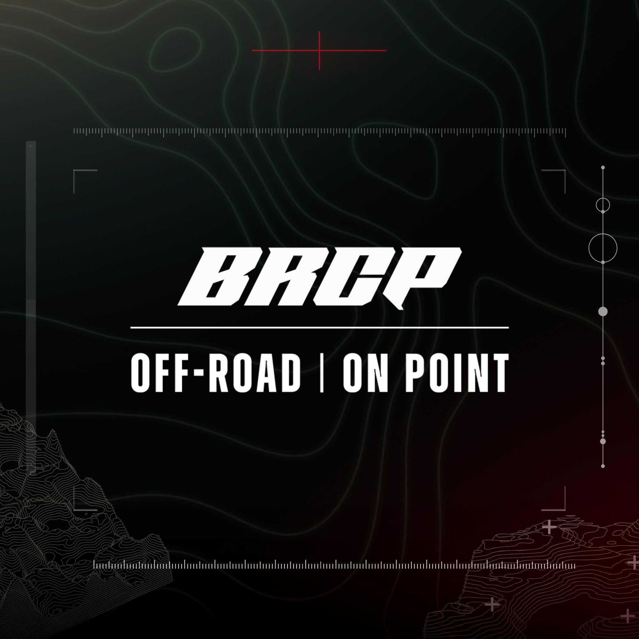 https://brcp.com.pl/