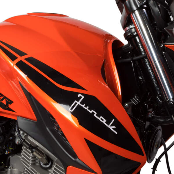 rcaer-125, 